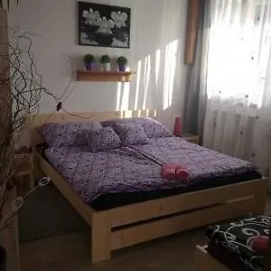 Kras Apartment *